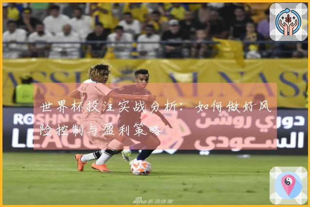 世界杯投注实战分析：如何做好风险控制与盈利策略