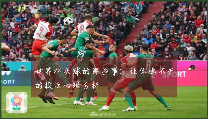 世界杯买球的那些事：让你逃不开的投注心理分析