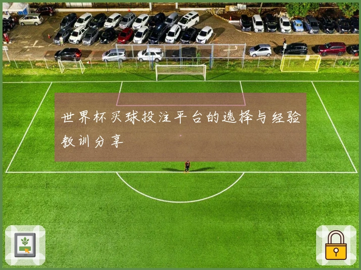 世界杯买球投注平台的选择与经验教训分享