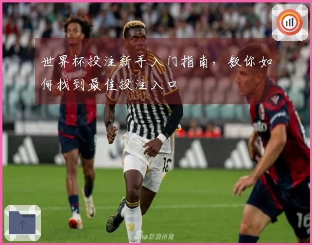 世界杯投注新手入门指南，教你如何找到最佳投注入口