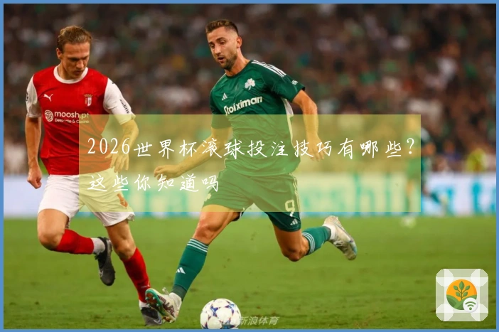 2026世界杯滚球投注技巧有哪些？这些你知道吗