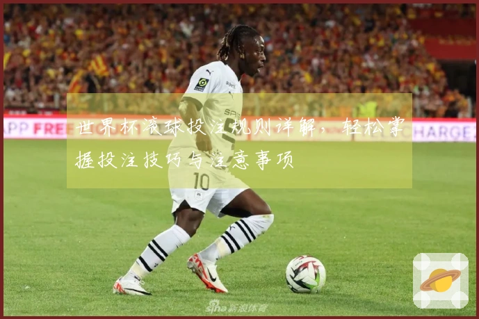 世界杯滚球投注规则详解，轻松掌握投注技巧与注意事项
