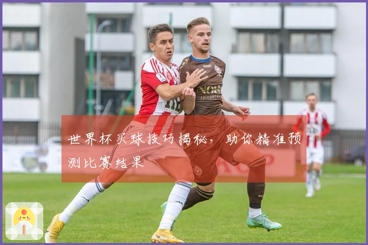 世界杯买球技巧揭秘，助你精准预测比赛结果